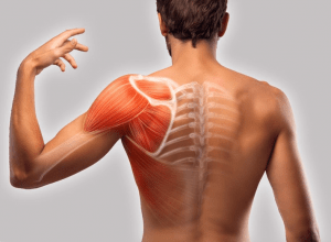 Experiencing Muscle Pain? Best Ways that can help you Reduce Pain (Demo)